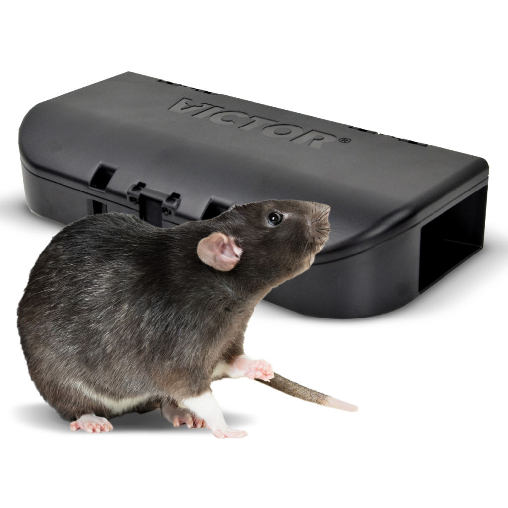 SensorWorks-Ready Woodstream Smart-Kill Rat Trap