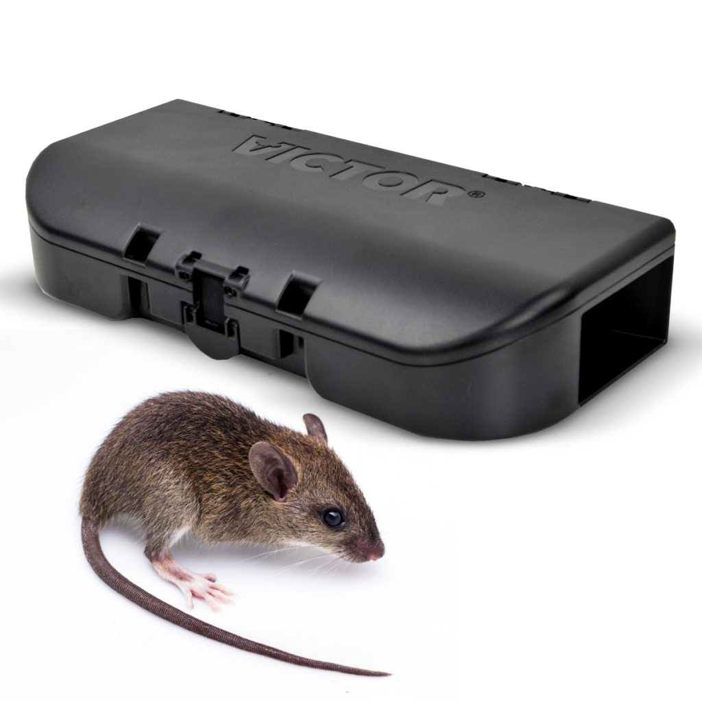 SensorWorks-Ready Woodstream Smart-Kill Mouse Trap