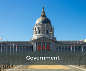 Government